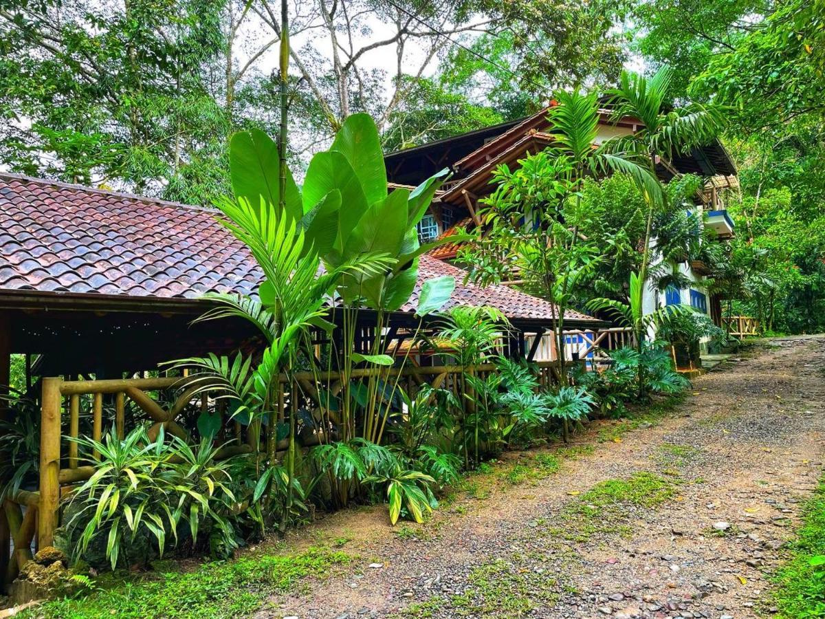 La Nube Eco-Hotel Buenavista  Eksteriør bilde