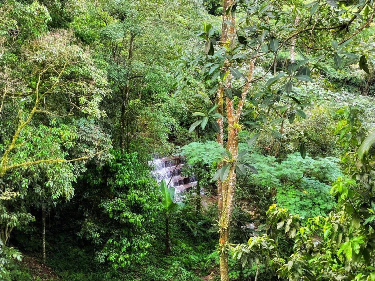 La Nube Eco-Hotel Villavicencio Eksteriør bilde